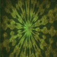 thumbnail image 1 of Ahgly Tapis d'Intérieur Lavable en Machine Carré Transitionnel Vert Forêt Foncé, 4 Pieds Carré, 1 of 7
