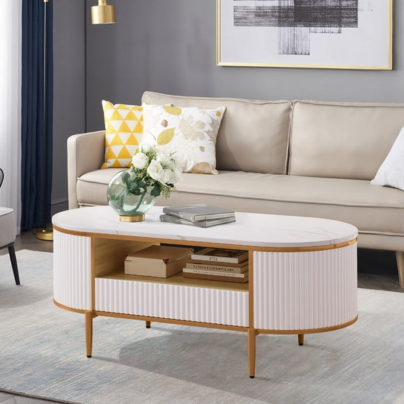 QinaQin Modern Oval Coffee Table with Storage, 47.24 Inch Fluted Table with Faux Marble Top and Gold Legs