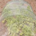thumbnail image 2 of 4'x100' Mosquito Bug Insect Bird Barrier Hunting Blind Garden Netting for Protect Your Plant Fruits Flower, 2 of 2