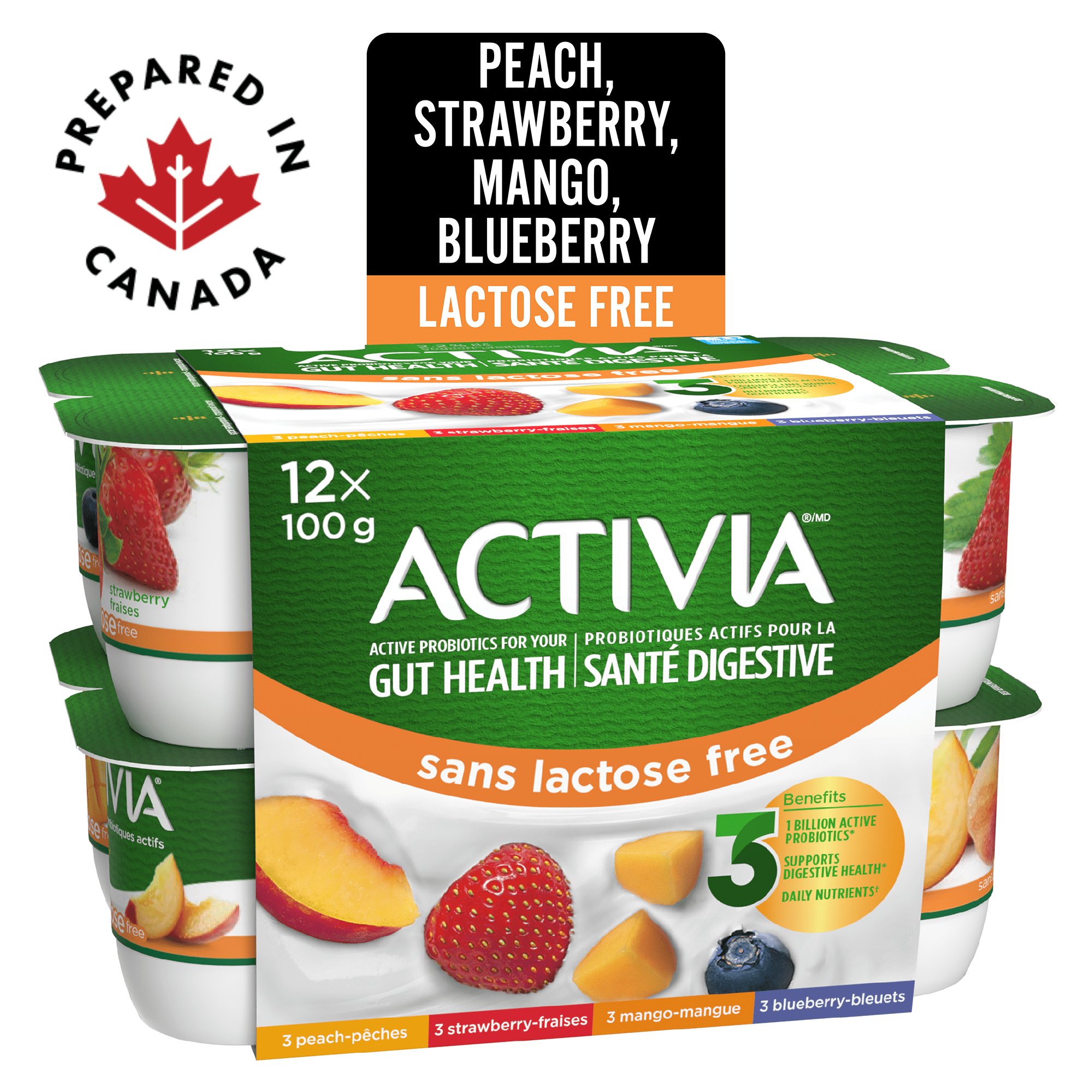 Activia Yogourt Probiotique, Sans Lactose, Fraise/bleuet/pêche/mangue, 12x100g