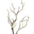 thumbnail image 1 of Lefu Branches de Corail Réalistes pour Décorations d'Halloween Bricolage Réservoir Plantes Remplissage de Vase, 1 of 8