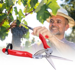 Pruning Scissors, Pruning Shears Comfortable To Hold  for Vegetables for Pruning Branches