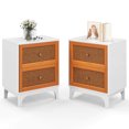 thumbnail image 1 of Costway 2 PCS Rattan Nightstand with Storage Wood End Sofa Side Table with 2 drawers Wood Legs, 1 of 8