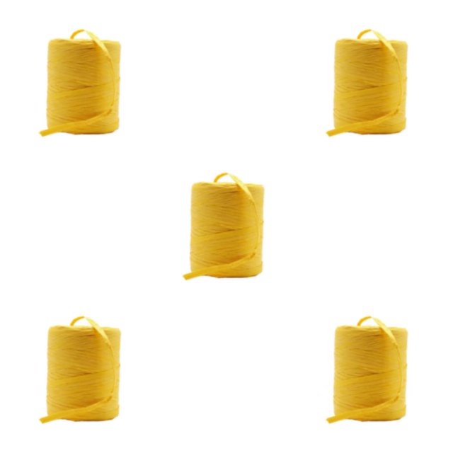 Baohd Fil de Raphia Robuste et Durable pour Bricolage Ruban en Papier Naturel Fil de Crochet Solide Jaune 5Set