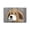 A, variant on Bathroom Floor Mat Absorbent Polyester Doormat With Non Slip Rubber Backing 23.62 in x 15.75 in Gray