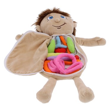 Anatomy Learning Toy,Anatomy Learning Doll Human Human Body Organs Learning Toys Body Organs Toys Highly Versatile