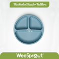 thumbnail image 3 of WeeSprout Suction Plates with Lids for Babies & Toddlers | 100% Silicone | Plates Stay Put with Suction Feature | Divided Design | Microwave & Dishwasher Safe | 3 Pack, 3 of 4