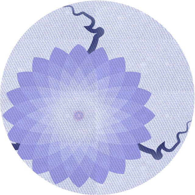 Ahgly Company Tapis Rond Lavable en Machine Intérieur Transitionnel Bleu Céleste, 5 Pieds Rond