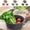 3 pcs Panier de Vidange de Cuisine Moins de 5 $ a1, variante sur RRJ Panier d'Eau pour Fruits et Légumes 3 Pcs, Ensemble de Paniers Passoires en Plastique 3 Pcs, Passoire de Cuisine Empilable pour Égoutter Laver les Produits, Alternative à l'Essoreuse à Salade, Rangement des Aliments Compatible Lave-Vaisselle