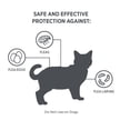 thumbnail image 3 of Parapet Praventa Flea Treatment for Small Cats, 1 Tube, 3 of 8