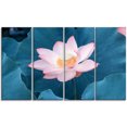 thumbnail image 2 of Fleur de Lotus Rose en Floraison, 2 of 3