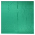 thumbnail image 4 of Photographic Green Screen, Green Green Screen 120g Thickening Perforated Overlock With Retaining Clips For Model Shooting 2x2m/78.7x78.7in, 4 of 8