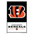 thumbnail image 1 of NFL Cincinnati Bengals - Logo 21 Wall Poster with Magnetic Frame, 22.375" x 34", 1 of 4
