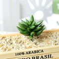 thumbnail image 3 of Coofit Artificial Succulent DIY Realistic Mini Unpotted Succulent Artificial Plant, 3 of 10