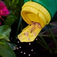 thumbnail image 2 of Miracle-Gro Shake N Feed All Purpose Plant Food 12-4-8 2.04 Kg, 2 of 5