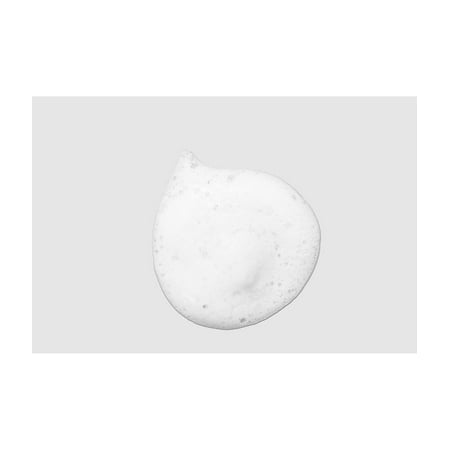 Paul Mitchell Tea Tree Lavender Mint Curl Refresh Foam