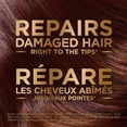 thumbnail image 4 of GARNIER Whole Blends Honey Treasures 10 Benefits for all hair types Treatment, 4 of 7