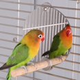 thumbnail image 1 of Bird Cage Bird Cage Standing Rod, Bird Mirror Perch, Pet Mirror Standing Rod Pet Mirror For Pet Parrots, 1 of 8