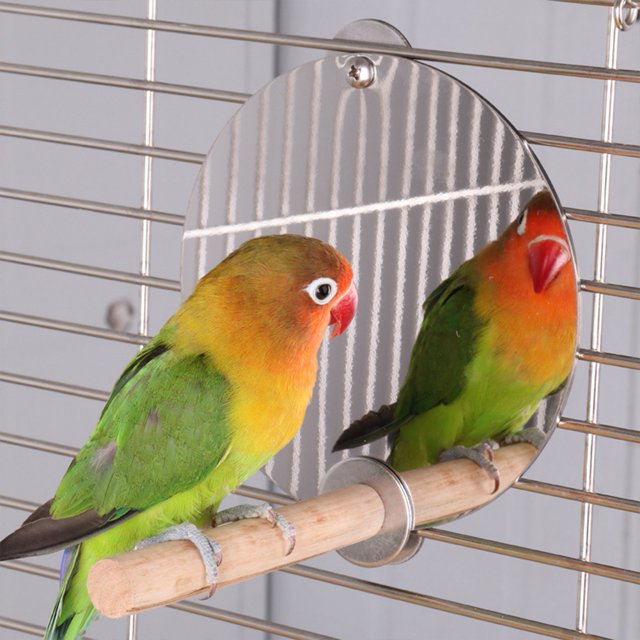 Bird Cage Bird Cage Standing Rod, Bird Mirror Perch, Pet Mirror Standing Rod Pet Mirror For Pet Parrots