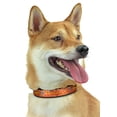 thumbnail image 1 of Zubaz X Pets First NFL Kansas City Chiefs Collar For Dogs & Cats Small, 1 of 3
