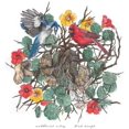 thumbnail image 1 of Chansons d'Oiseaux, 1 of 1