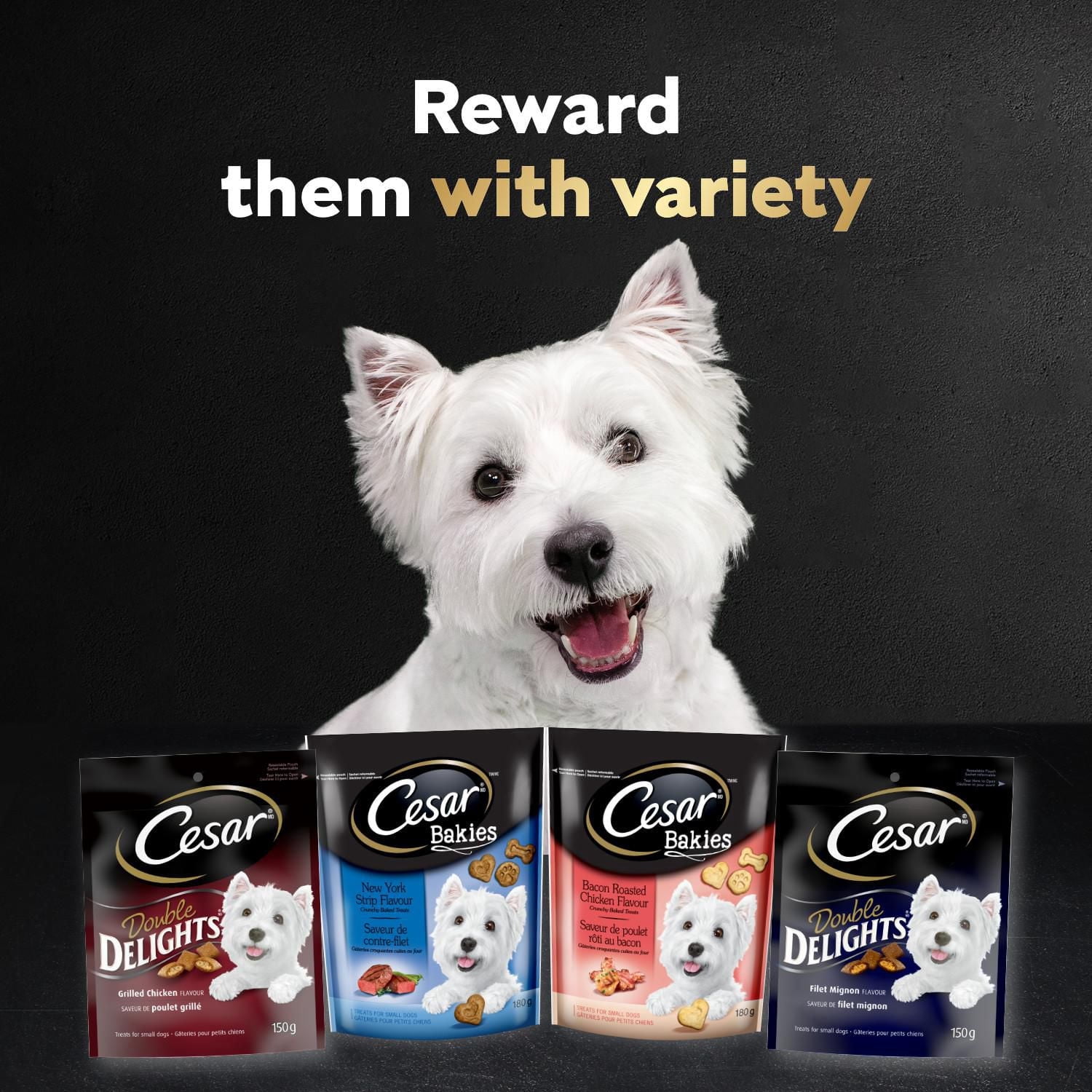 Gâteries pour chiens CESAR BAKIES, petits chiens adultes, saveur de contre-filet