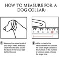 thumbnail image 4 of Serre-tête Formel pour Chien, Serre-Tête de Mariage pour Chien, Collier pour Chien, Attache de Collier Réglable, 4 of 5