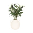 thumbnail image 1 of DesignOvation 11"H Artificial Olive Plant in White Ceramic Pot, 1 of 8