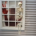 thumbnail image 3 of Way to Celebrate Halloween Decoration Hanging Posable Bone Color Plastic Skeleton 16in, 3 of 6