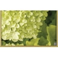 thumbnail image 3 of Hometrends Aluminum Poster Frame, Gold, 18x24in, 3 of 5
