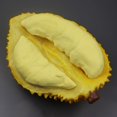 thumbnail image 1 of Bgsha Fruits Artificiels Modèle Durian Simulation Nourriture Jouet Éducatif Précoce Accessoire Photo, 1 of 9