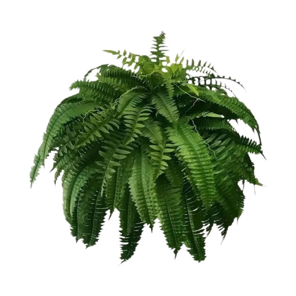 Lifelike Artificial Boston Fern, 2025 New Artificial Ferns, Ferns Artificial Plants Large for Planters, Office & Home Decor, Outdoor & Indoor, 24Inches