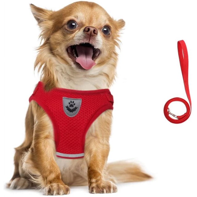 Dog Harness and Lead Set, Soft Mesh Padded Harness for Puppies and Cats, Reflective, Adjustable, Breathable Chest Harness for Walking, Running, Training (Red,M)