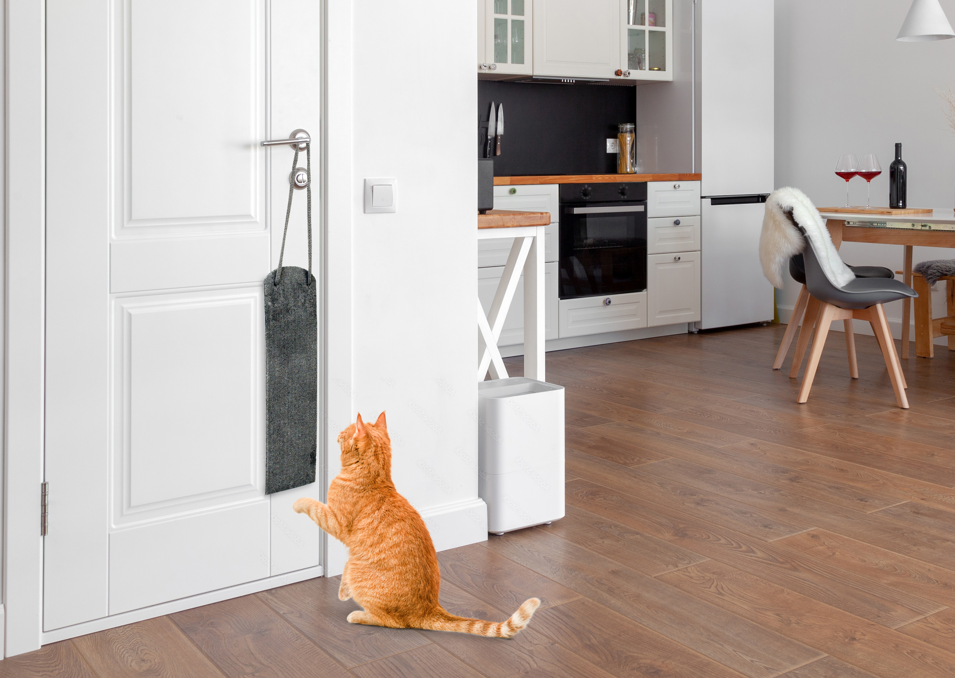 Tapis à griffer Omega Paw pour chats, s'accroche à n'importe quelle poignée de porte.