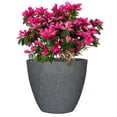 thumbnail image 2 of Grey Concrete Look Planter, 2 of 5