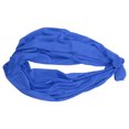 thumbnail image 4 of Hamac Extensible pour Enfants Compétences d'Apprentissage Élasticité Relaxation Confortable Balançoires pour Jouer Bleu, 4 of 7