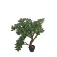 thumbnail image 2 of Jeco HD-BT137 36 in. White Fortune Tree, 2 of 3