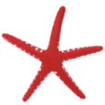 thumbnail image 1 of Plastic Landscape Decoration Aquarium Simulation Starfish, Simulation Starfish, Luminous For Fish Tank Aquarium Blue,red, 1 of 8