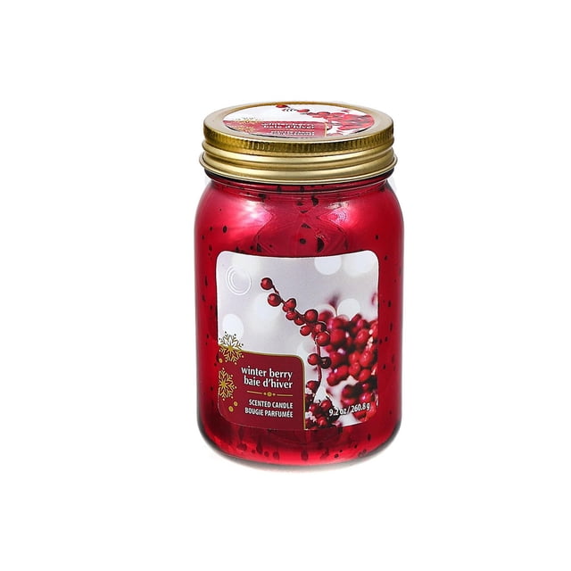9.2Oz Electroplated Mason Photophore (Hiver Berry)