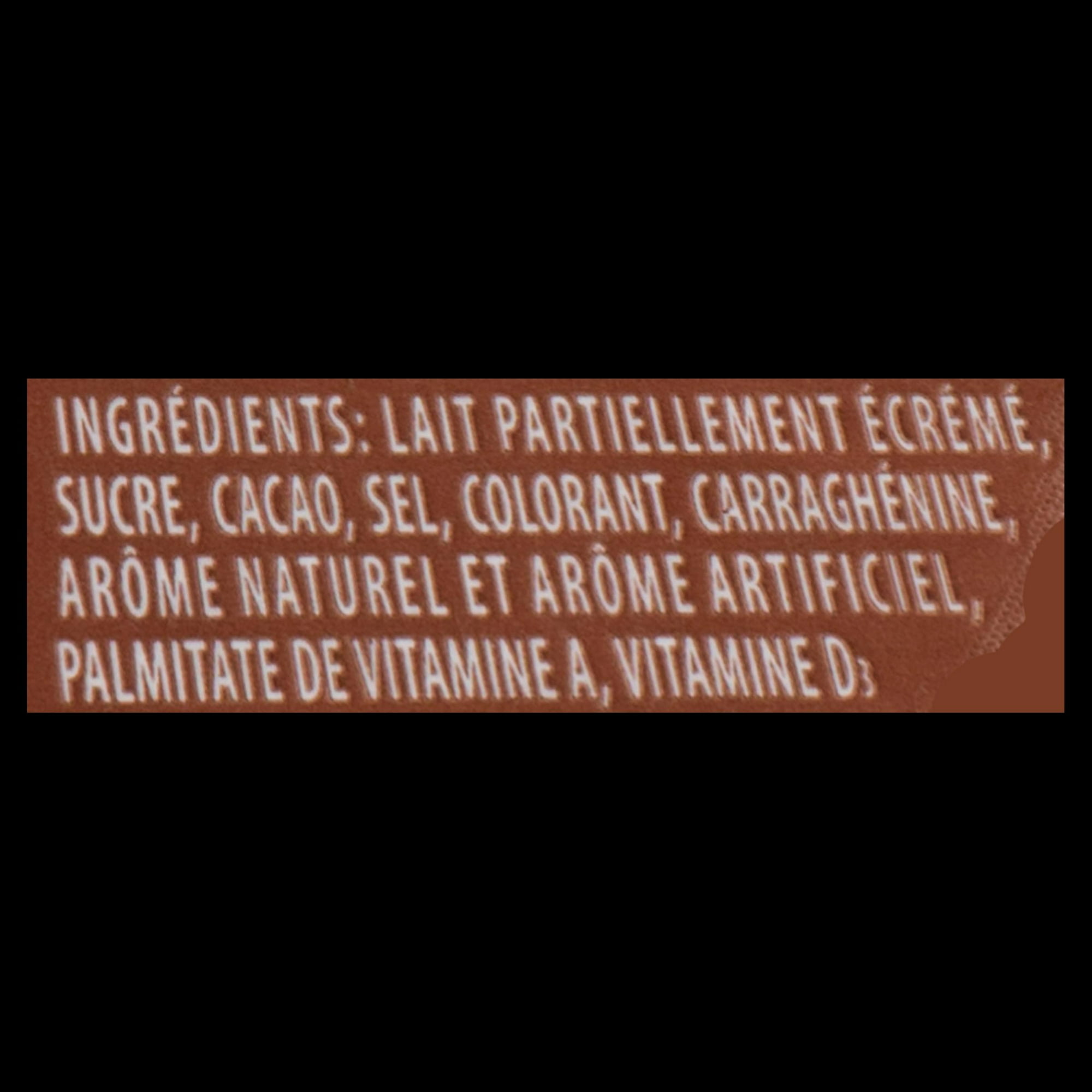 Perfection Lait au Chocolat 2 %