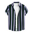 thumbnail image 1 of BOBOGOJP Men Summer Button Down Shirts Short-Sleeve Button Down Plaid Shirt Workshirt,Green XXL, 1 of 5