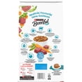 thumbnail image 3 of Beneful IncrediBites for Small Dogs with Real Beef, Dry Dog Food 1.6kg, 3 of 10