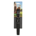 thumbnail image 1 of Regatta Premium Dog Collar, 1 of 4