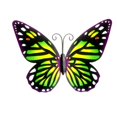 thumbnail image 3 of Handmade Wrought Iron Metal Butterfly Mural for Home Decoration and Outdoor, 3 of 4
