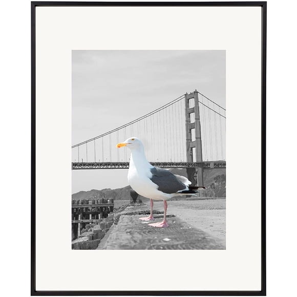 Frametory, 16x20 Aluminum Photo Frame with Ivory Color Mat for 11x14 Picture & Real Glass, Metal Picture Frame Collection (Black, 1-Pack)