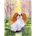 thumbnail image 1 of 11 x 15 Po. Drapeau Taille Jardin English Toy Spaniel, 1 of 1