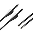 thumbnail image 2 of Runzkzy Metal Arrows 29 inch 6/12PCS Hunting Arrows for Bow Compound Recurve and Traditional Bows, 2 of 11