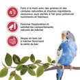thumbnail image 4 of Living World Budgie Treat Sticks Fruit Melody 90 G, 4 of 7