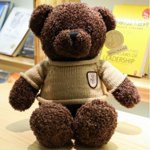 Sweater Teddy Bear Doll Plush Toy Bear Cushion Event Gift Stuffed Doll