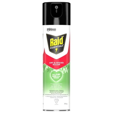 Raid Essentials Ant and Spider Insect Killer Spray, for Indoor Use, 350g